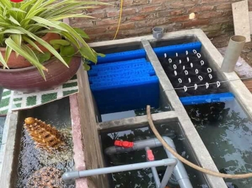 Bán Thiết Bị Lọc Hồ Cá Koi – Giải Pháp Hoàn Hảo Cho Hồ Cá Trong Xanh