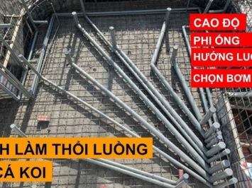 Cách Làm Thổi Luồng Cho Hồ Cá Koi: Hướng Dẫn Chi Tiết Từ A-Z