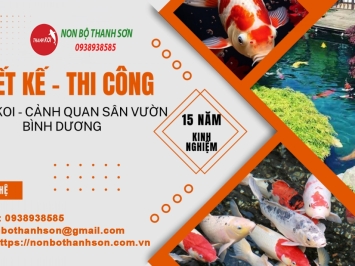 Bảng báo giá thiết kế hồ cá koi Bình Dương