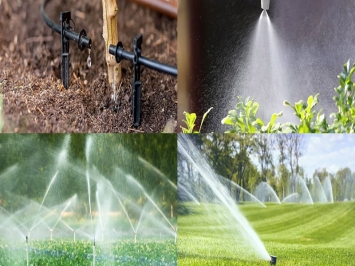 Tìm hiểu chi tiết A-Z về hệ thống tưới cây tự động