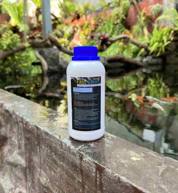 Fast Clean Water Làm trong nước, khử bọt hồ cá cấp tốc