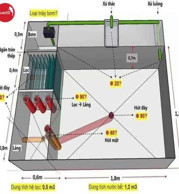 Thiết Kế Hồ Cá Koi Tại Tphcm & Toàn Quốc