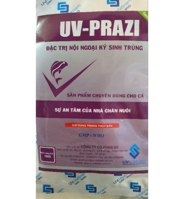 UV-Prazi: Giải Pháp Hiệu Quả Cho Hồ Cá Koi Sạch Và Khỏe Mạnh