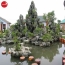 Hòn Non Bộ - Nghệ Thuật Tái Hiện Thiên Nhiên Trong Không Gian Sống