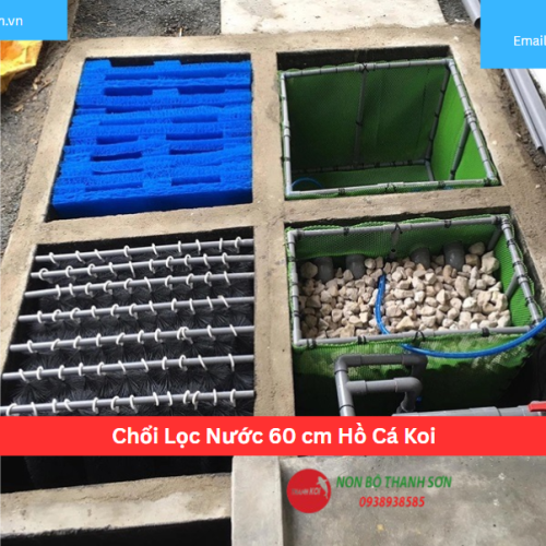 Chổi Lọc 60Cm