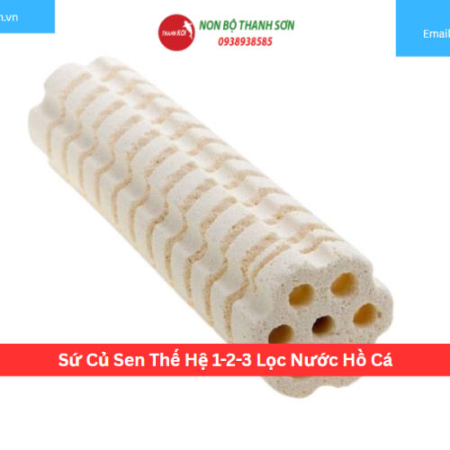 Sứ Củ Sen Thế Hệ 1-2-3 Lọc Nước Hồ Cá