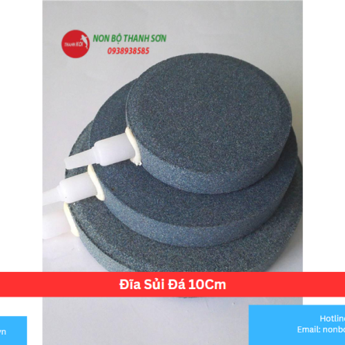 Đĩa Sủi Đá 10Cm