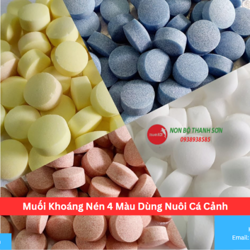 Muối Khoáng Nén 4 Màu Dùng Nuôi Cá Cảnh
