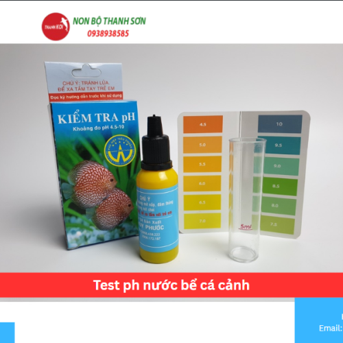 Test ph nước bể cá cảnh