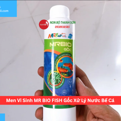 Men Vi Sinh MR BIO FISH Gốc Xử Lý Nước Bể Cá