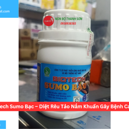 Biotech Sumo Bạc – Diệt Rêu Tảo Nấm Khuẩn Gây Bệnh Cá Koi