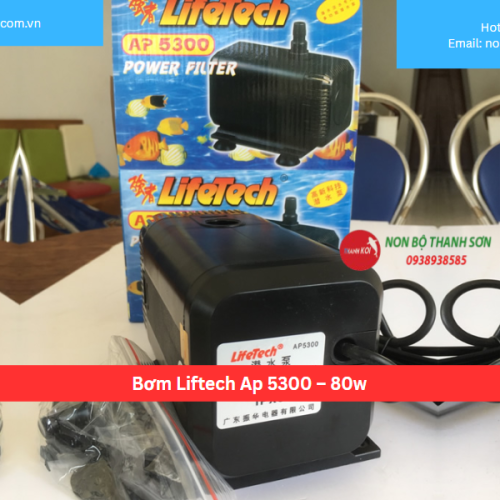 Bơm Liftech Ap 5300 – 80w