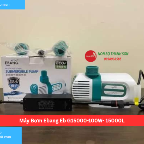 Máy Bơm Ebang Eb G15000-100W- 15000L
