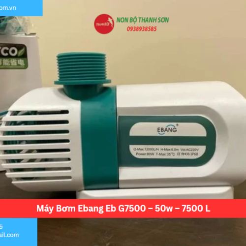 Máy Bơm Ebang Eb G7500 – 50w – 7500 L
