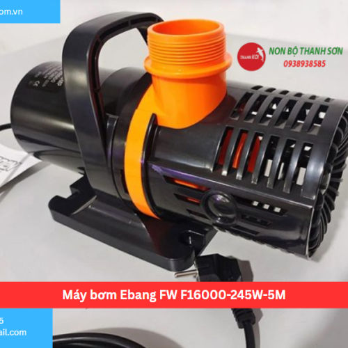 Máy bơm Ebang FW F16000-245W-5M