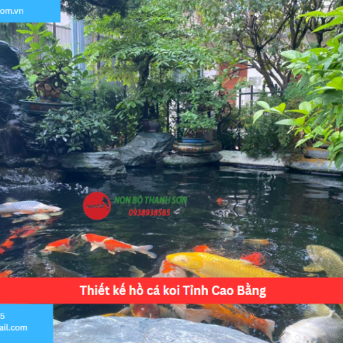 Bảng báo giá thiết kế hồ cá koi Tỉnh Cao Bằng
