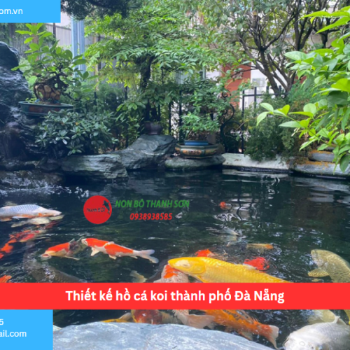 Bảng báo giá thiết kế hồ cá koi thành phố Đà Nẵng