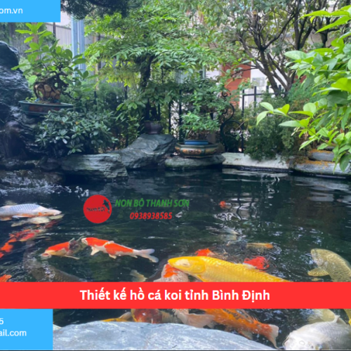 Bảng báo giá thiết kế hồ cá koi tỉnh Bình Định