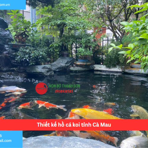 Bảng báo giá thiết kế hồ cá koi tỉnh Cà Mau