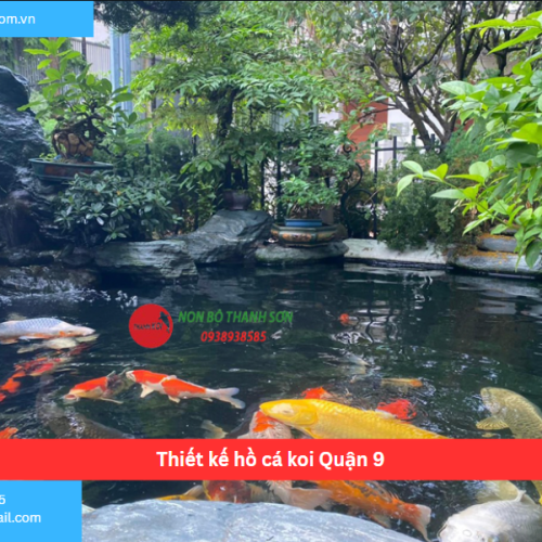 Bảng báo giá thiết kế hồ cá koi Quận 9