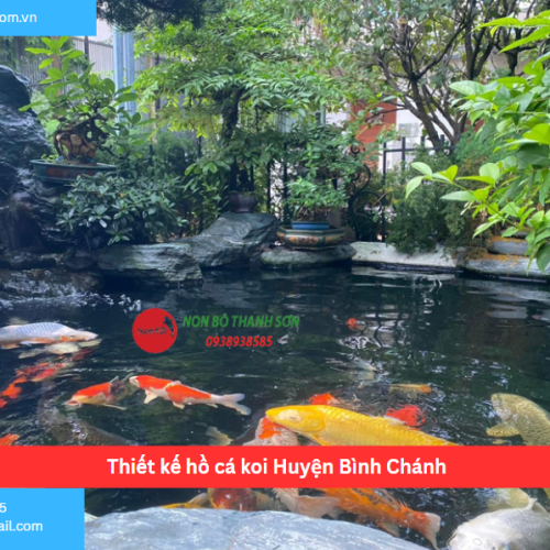 Bảng báo giá thiết kế hồ cá koi Huyện Bình Chánh