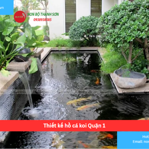 Bảng báo giá thiết kế hồ cá koi Quận 1