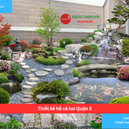 Bảng báo giá thiết kế hồ cá koi Quận 3