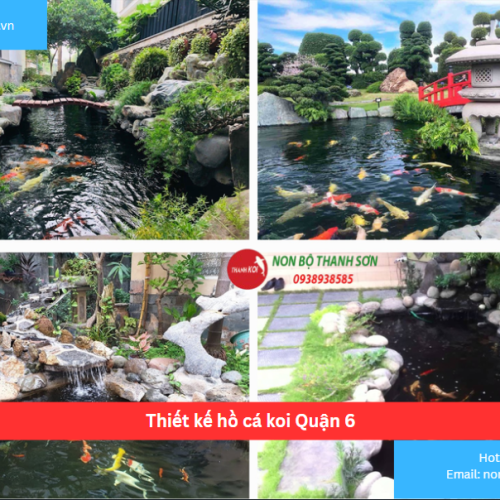 Bảng báo giá thiết kế hồ cá koi Quận 6