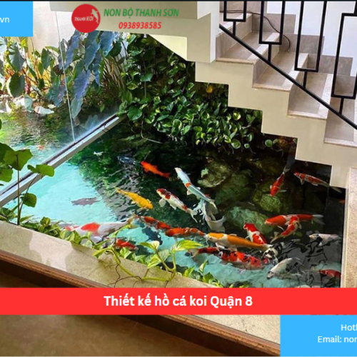 Bảng báo giá thiết kế hồ cá koi Quận 8