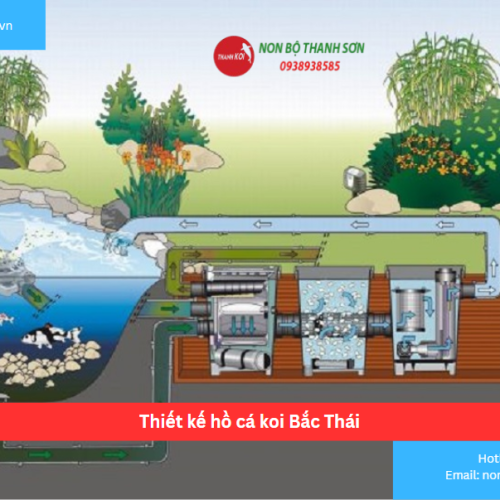 Bảng báo giá thiết kế hồ cá koi Bắc Thái