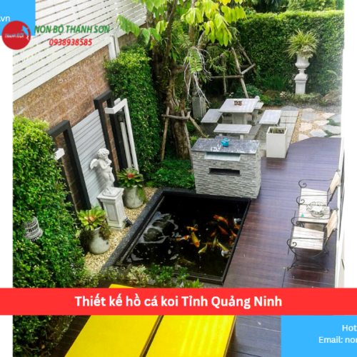 Bảng Báo Giá Thiết kế hồ cá koi Tỉnh Quảng Ninh