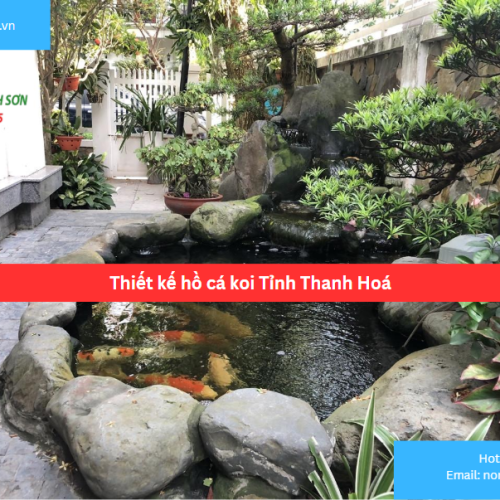 Bảng Báo Giá Thiết kế hồ cá koi Tỉnh Thanh Hoá