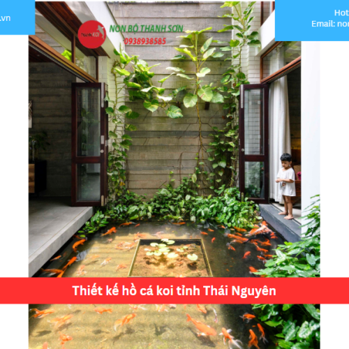 Bảng báo giá thiết kế hồ cá koi tỉnh Thái Nguyên