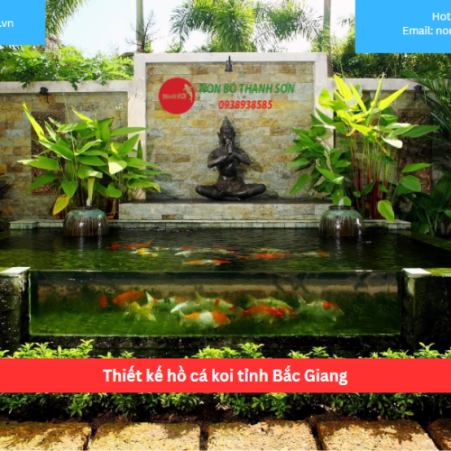 Bảng báo giá thiết kế hồ cá koi tỉnh Bắc Giang
