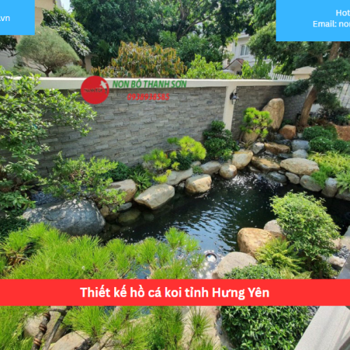 Bảng báo giá thiết kế hồ cá koi tỉnh Hưng Yên