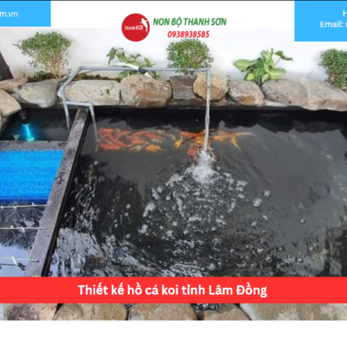 Bảng báo giá thiết kế hồ cá koi tỉnh Lâm Đồng
