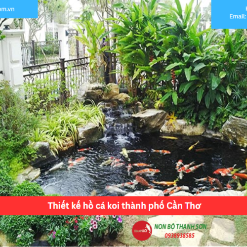 Bảng báo giá thiết kế hồ cá koi thành phố Cần Thơ