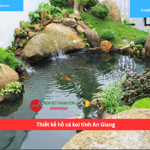 Bảng Báo Giá Thiết kế hồ cá koi tỉnh An Giang