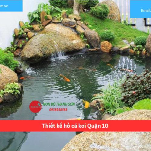 Bảng báo giá thiết kế hồ cá koi Quận 10