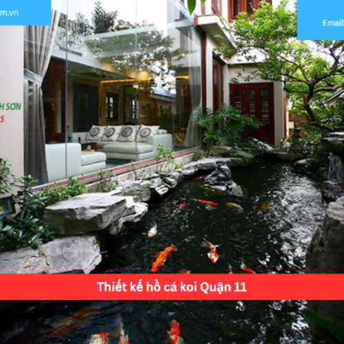 Bảng báo giá thiết kế hồ cá koi Quận 11