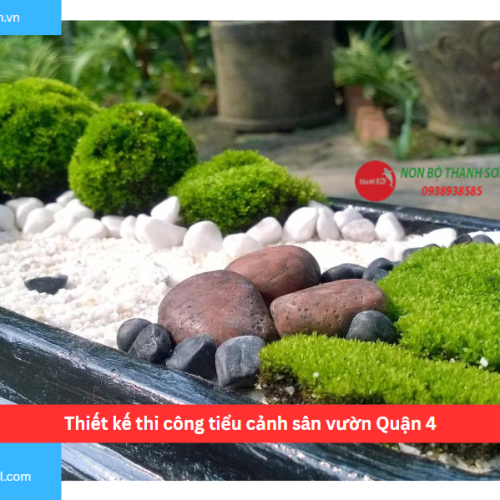 Bảng báo giá thiết kế thi công tiểu cảnh sân vườn Quận 4