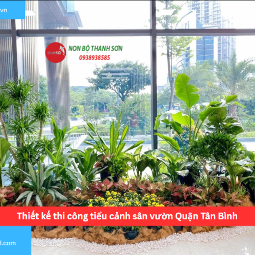 Bảng báo giá thiết kế thi công tiểu cảnh sân vườn Quận Tân Bình