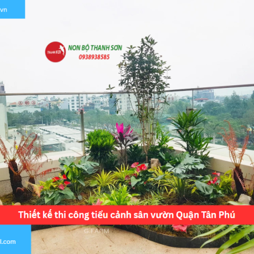 Bảng báo giá thiết kế thi công tiểu cảnh sân vườn Quận Tân Phú