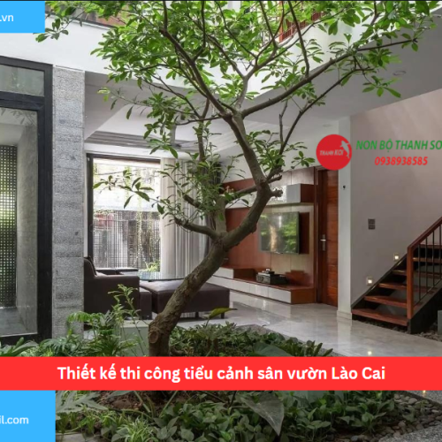 Bảng báo giá thiết kế thi công tiểu cảnh sân vườn Lào Cai