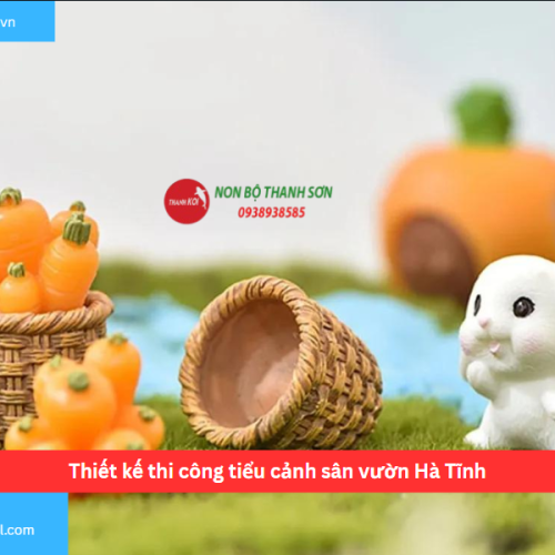 Bảng báo giá thiết kế thi công tiểu cảnh sân vườn Hà Tĩnh