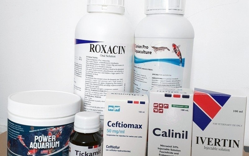 Bộ giải pháp trọn gói phòng và trị bệnh khi nuôi cá Koi