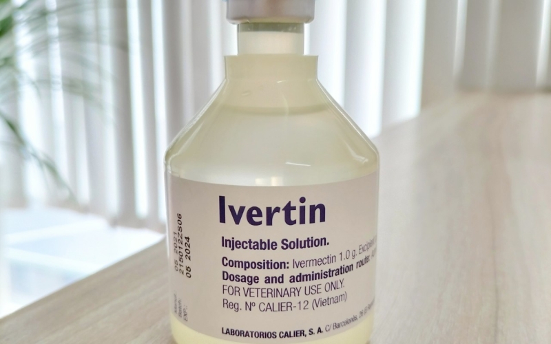 Bộ sản phẩm loại bỏ 95% ký sinh trùng khi chơi cá Koi