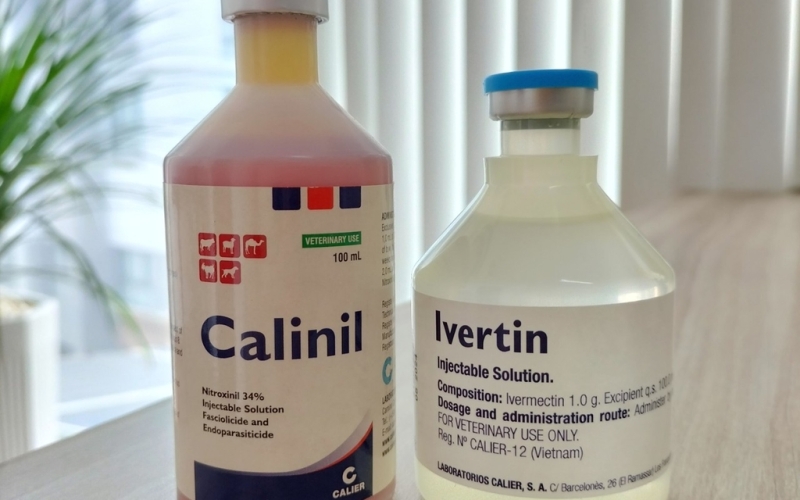 Bộ sản phẩm loại bỏ 95% ký sinh trùng khi chơi cá Koi