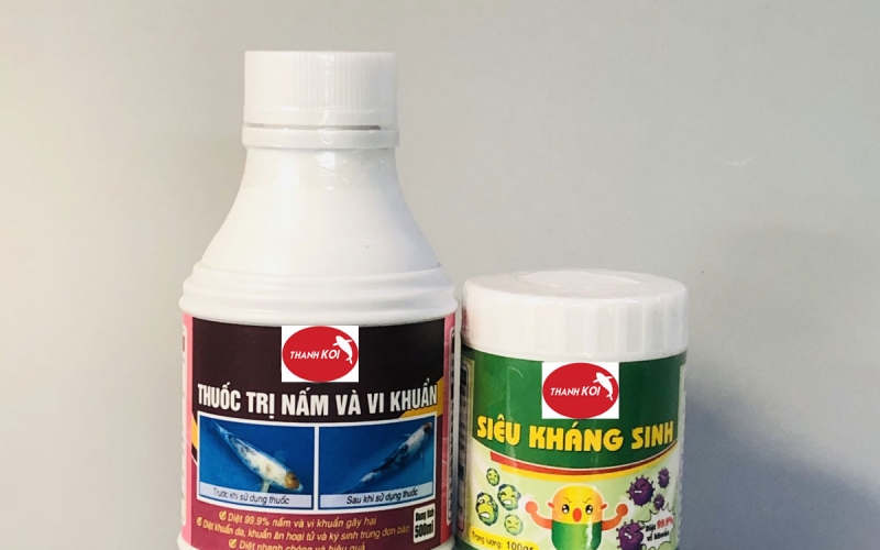 Trọn bộ Thuốc Phòng và Trị bệnh cá Koi đặc biệt hiệu quả, chăm sóc toàn diện sức khỏe cho Koi
