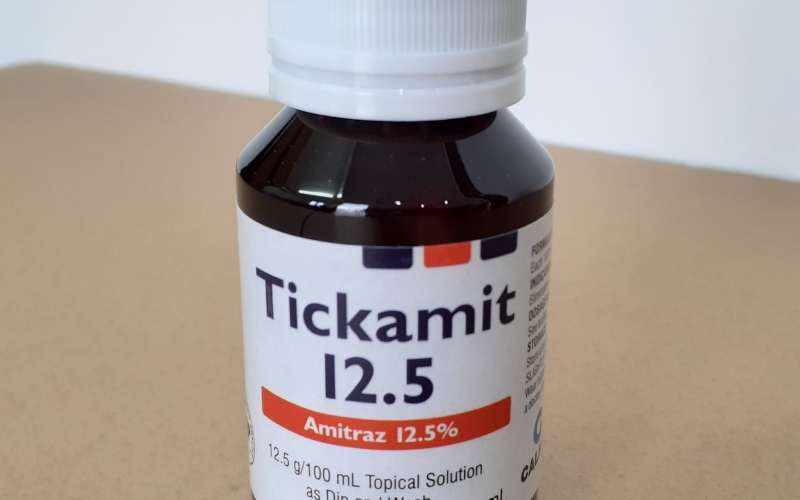 Giải pháp giúp thả cá Koi vào hồ mới khoẻ mạnh, không bị tụ đàn, nằm đáy, đỏ mình